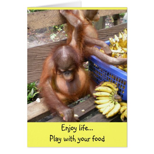 遊食べ物 (正面)