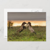 遊馬はがき ポストカード (正面/裏面)