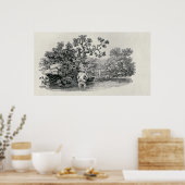 遊鮭の ポスター (キッチン)