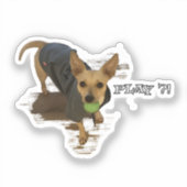 遊?! シール (正面)