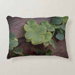 運が良いか決まったかSaint patricks day・シャムロック アクセントクッション