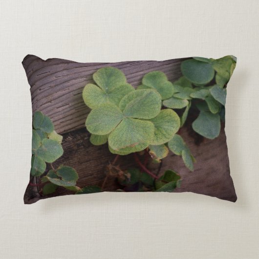 運が良いか決まったかSaint patricks day・シャムロック アクセントクッション (正面)