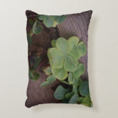 運が良いか決まったかSaint patricks day・シャムロック アクセントクッション (正面(垂直))