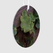 運が良いか決まったかSaint patricks day・シャムロック オーナメント (正面)