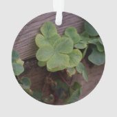運が良いか決まったかSaint patricks day・シャムロック オーナメント (裏面)