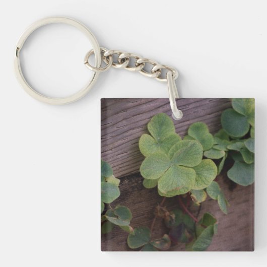 運が良いか決まったかSaint patricks day・シャムロック キーホルダー (正面)