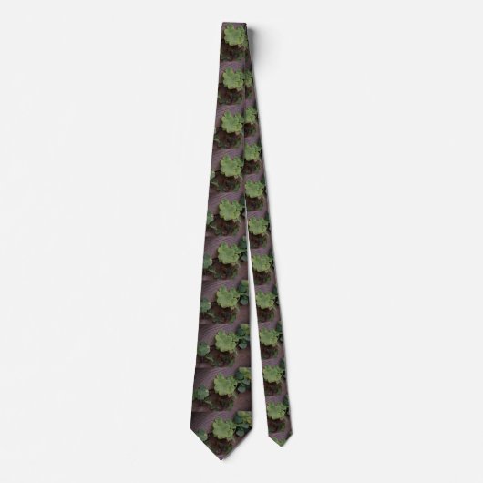 運が良いか決まったかSaint patricks day・シャムロック ネクタイ (正面)