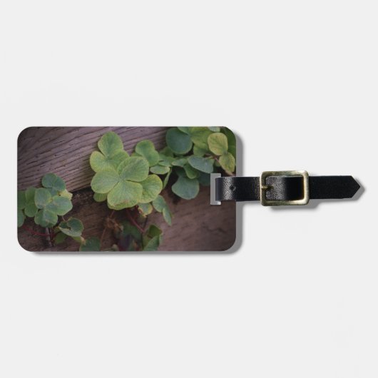 運が良いか決まったかSaint patricks day・シャムロック ラゲッジタグ (正面横)