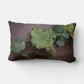 運が良いか決まったかSaint patricks day・シャムロック ランバークッション (裏面)