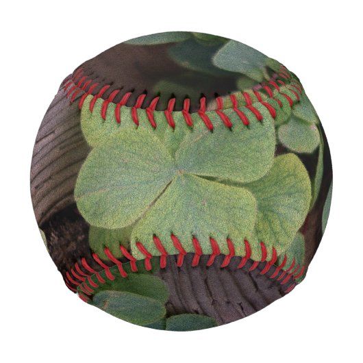 運が良いか決まったかSaint patricks day・シャムロック 野球ボール (正面)
