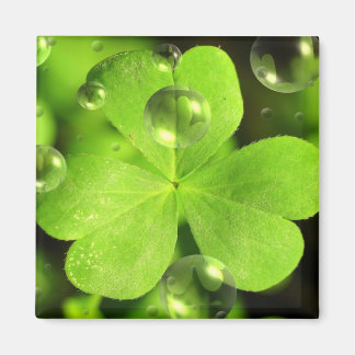 運に磁石を洗わせな遠くにい マグネット