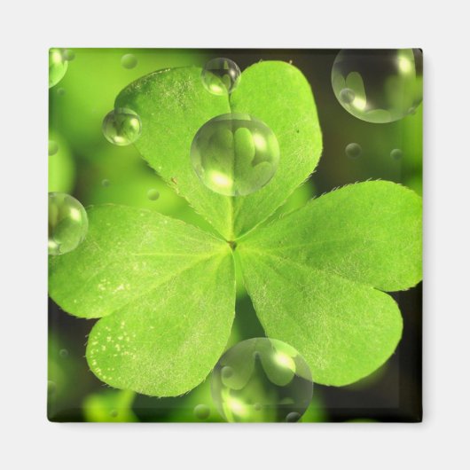 運に磁石を洗わせな遠くにい マグネット (正面)