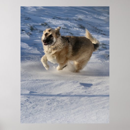 運動上の喜び ポスター (正面)