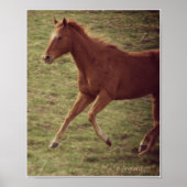 運動中のスコッチ ポスター (正面)