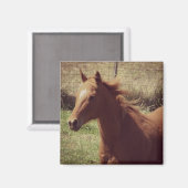 運動中のスコッチ マグネット (正面/裏面)