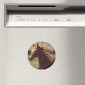 運動中のスコッチ マグネット (インサイチュ (食洗機))