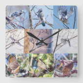運動時計の鳥 スクエア壁時計 (正面)