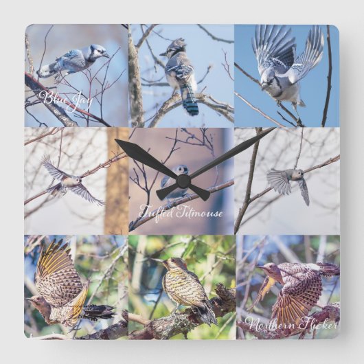 運動時計の鳥 スクエア壁時計 (正面)