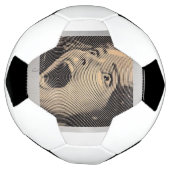 運動視力 サッカーボール (回転)