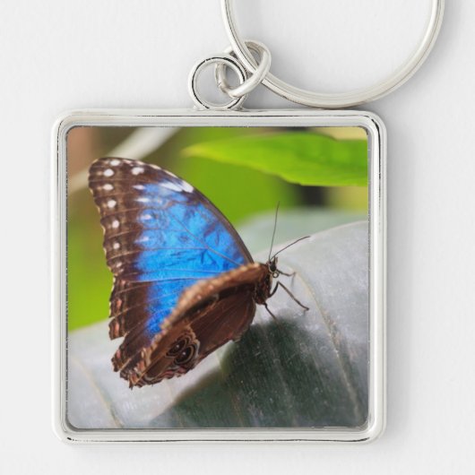 運命のギフト キーホルダー (正面)