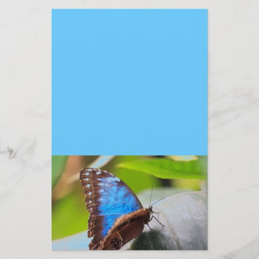 運命のギフト 便箋 (正面)