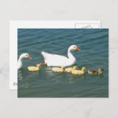 運命の贈り物 ポストカード (正面/裏面)