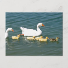 運命の贈り物 ポストカード