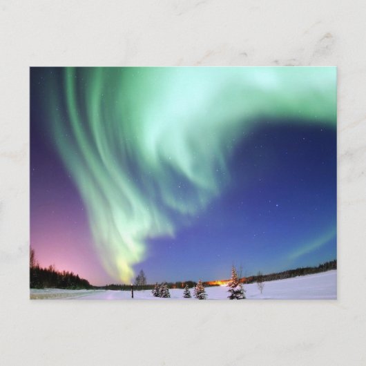 運命の贈り物 ポストカード (正面)