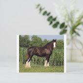 運命 ポストカード (スタンド正面)