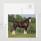 運命 ポストカード (正面/裏面)