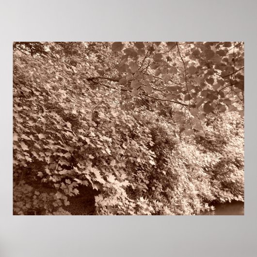 運河のそばの木々 ポスター (正面)