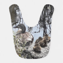 運河の上のダック家族。