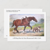 運河の舟を引く馬と犬のポストカード ポストカード (正面/裏面)