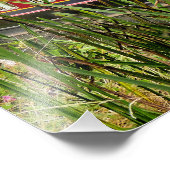 運河ナローボート フォトプリント            (角)