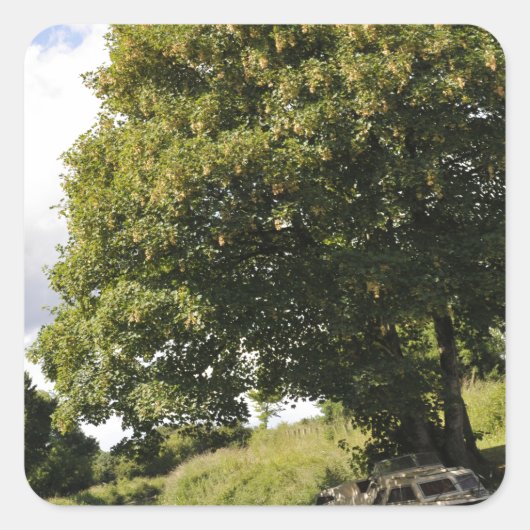 運河ボート スクエアシール (正面)