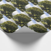 運河ボート ラッピングペーパー (角)