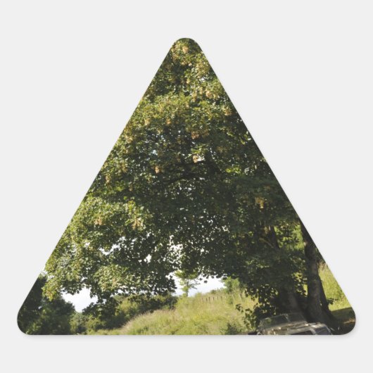 運河ボート 三角形シール (正面)