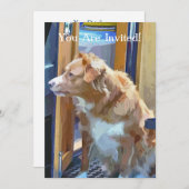 運河ボート 招待状 (正面/裏面)