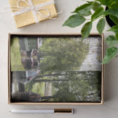 運河ボート 薄葉紙 (ギフト)