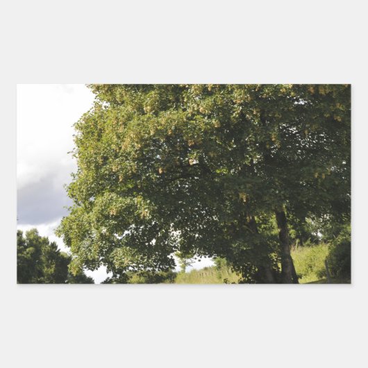 運河ボート 長方形シール (正面)