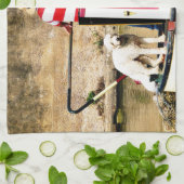 運河 キッチンタオル (折り畳み)