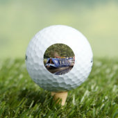 運河 ゴルフボール (インサイチュ 木)