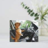 運転免許祝いカード ポストカード (スタンド正面)