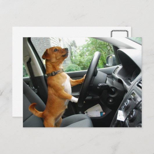 運転免許祝いカード ポストカード (正面/裏面)