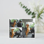 運転免許祝いカード ポストカード (スタンド正面)