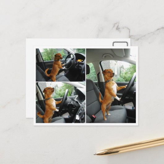 運転免許祝いカード ポストカード (正面/裏面インサイチュ)