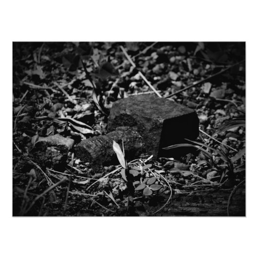 「過ぎ去った日の遺徳」 フォトプリント            (正面)