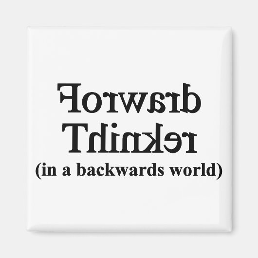 過去の世界で思考を進める マグネット (正面)