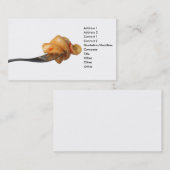 過去の名刺 名刺 (正面/裏面)