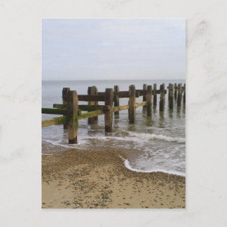 過去素数 ポストカード